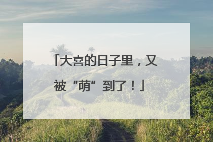 大喜的日子里，又被“萌”到了！