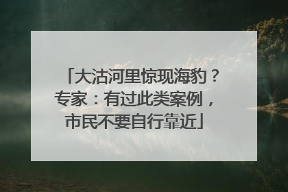 大沽河里惊现海豹？专家：有过此类案例，市民不要自行靠近