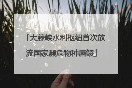 大藤峡水利枢纽首次放流国家濒危物种唇鲮