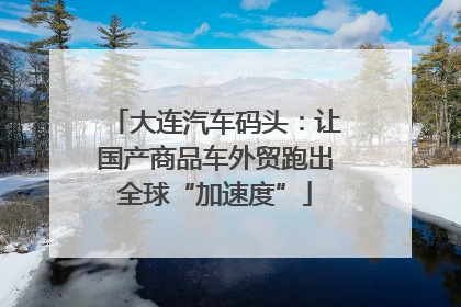 大连汽车码头：让国产商品车外贸跑出全球“加速度”