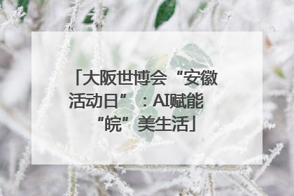 大阪世博会“安徽活动日”：AI赋能“皖”美生活