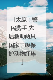 太原：警民携手 先后救助两只国家二级保护动物红隼