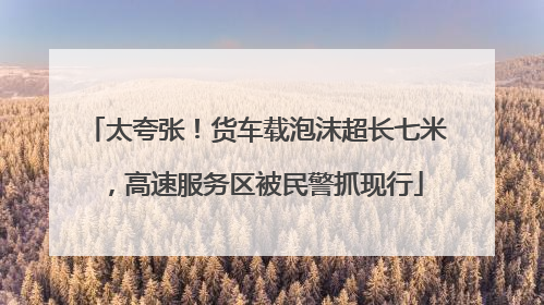 太夸张！货车载泡沫超长七米，高速服务区被民警抓现行