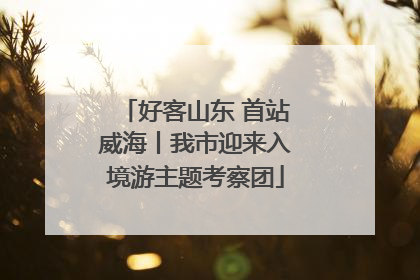 好客山东 首站威海丨我市迎来入境游主题考察团