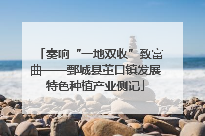 奏响“一地双收”致富曲——鄄城县董口镇发展特色种植产业侧记