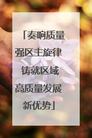 奏响质量强区主旋律 铸就区域高质量发展新优势