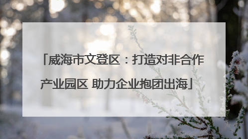 威海市文登区：打造对非合作产业园区 助力企业抱团出海