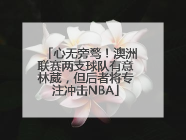 心无旁骛！澳洲联赛两支球队有意林葳，但后者将专注冲击NBA