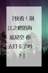快看！荆江之畔的海底星空 你去打卡了吗？