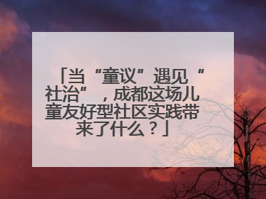 当“童议”遇见“社治”，成都这场儿童友好型社区实践带来了什么？