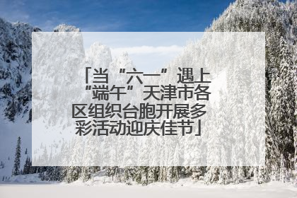 当“六一”遇上“端午”天津市各区组织台胞开展多彩活动迎庆佳节