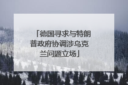 德国寻求与特朗普政府协调涉乌克兰问题立场
