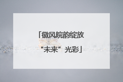 徽风皖韵绽放“未来”光彩