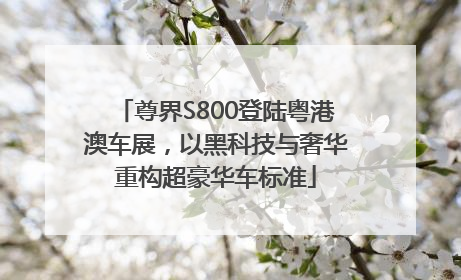 尊界S800登陆粤港澳车展，以黑科技与奢华重构超豪华车标准