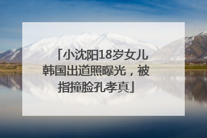 小沈阳18岁女儿韩国出道照曝光，被指撞脸孔孝真