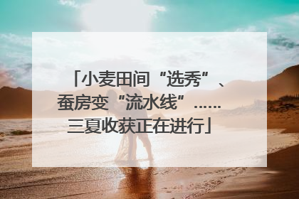小麦田间“选秀”、蚕房变“流水线”……三夏收获正在进行