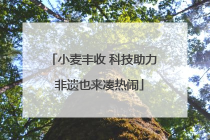 小麦丰收 科技助力 非遗也来凑热闹