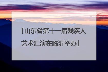 山东省第十一届残疾人艺术汇演在临沂举办