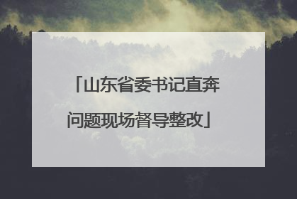 山东省委书记直奔问题现场督导整改