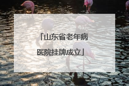 山东省老年病医院挂牌成立