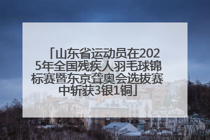 山东省运动员在2025年全国残疾人羽毛球锦标赛暨东京聋奥会选拔赛中斩获3银1铜