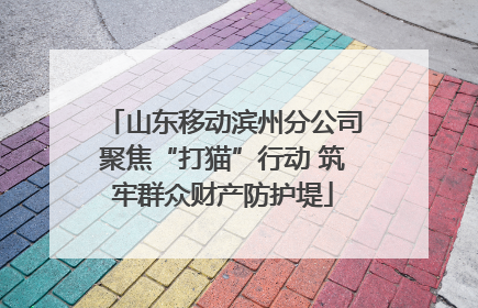山东移动滨州分公司聚焦“打猫”行动 筑牢群众财产防护堤