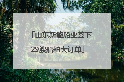 山东新能船业签下29艘船舶大订单
