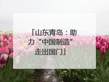山东青岛：助力“中国制造”走出国门