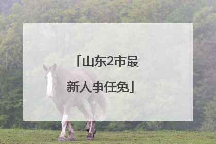 山东2市最新人事任免