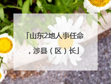 山东2地人事任命，涉县（区）长