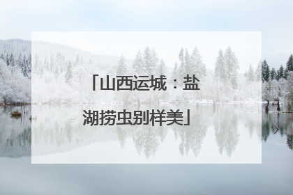山西运城：盐湖捞虫别样美