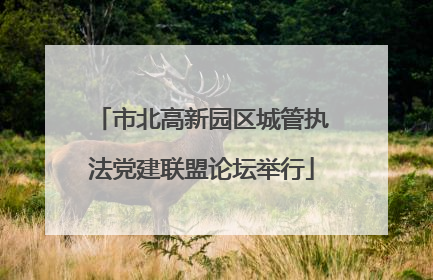 市北高新园区城管执法党建联盟论坛举行