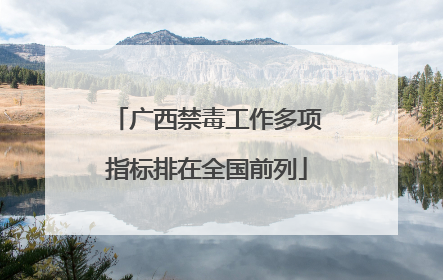 广西禁毒工作多项指标排在全国前列