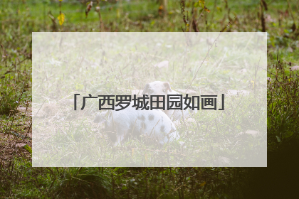 广西罗城田园如画