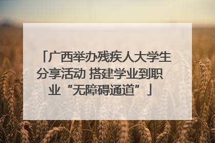 广西举办残疾人大学生分享活动 搭建学业到职业“无障碍通道”