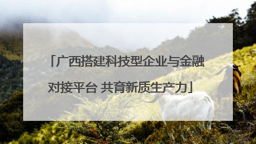 广西搭建科技型企业与金融对接平台 共育新质生产力