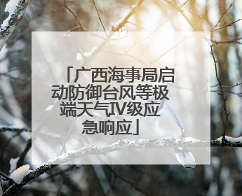 广西海事局启动防御台风等极端天气IV级应急响应