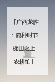 广西龙胜：夏种时节 梯田之上农耕忙