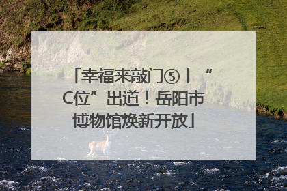 幸福来敲门⑤丨“C位”出道！岳阳市博物馆焕新开放