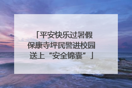 平安快乐过暑假 保康寺坪民警进校园送上“安全锦囊”