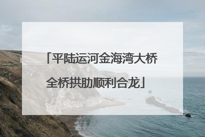 平陆运河金海湾大桥全桥拱肋顺利合龙