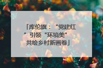 库伦旗：“党建红”引领“环境美” 共绘乡村新画卷