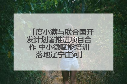 度小满与联合国开发计划署推进项目合作 中小微赋能培训落地辽宁庄河