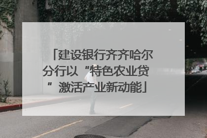 建设银行齐齐哈尔分行以“特色农业贷”激活产业新动能