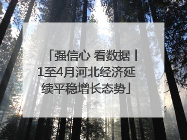 强信心 看数据丨1至4月河北经济延续平稳增长态势