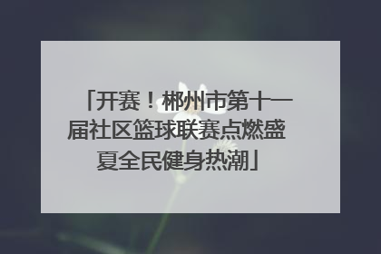 开赛！郴州市第十一届社区篮球联赛点燃盛夏全民健身热潮
