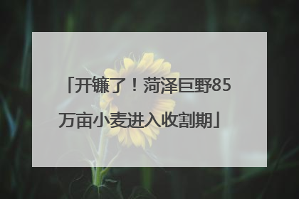 开镰了！菏泽巨野85万亩小麦进入收割期