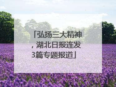 弘扬三大精神，湖北日报连发3篇专题报道
