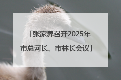 张家界召开2025年市总河长、市林长会议