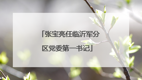 张宝亮任临沂军分区党委第一书记